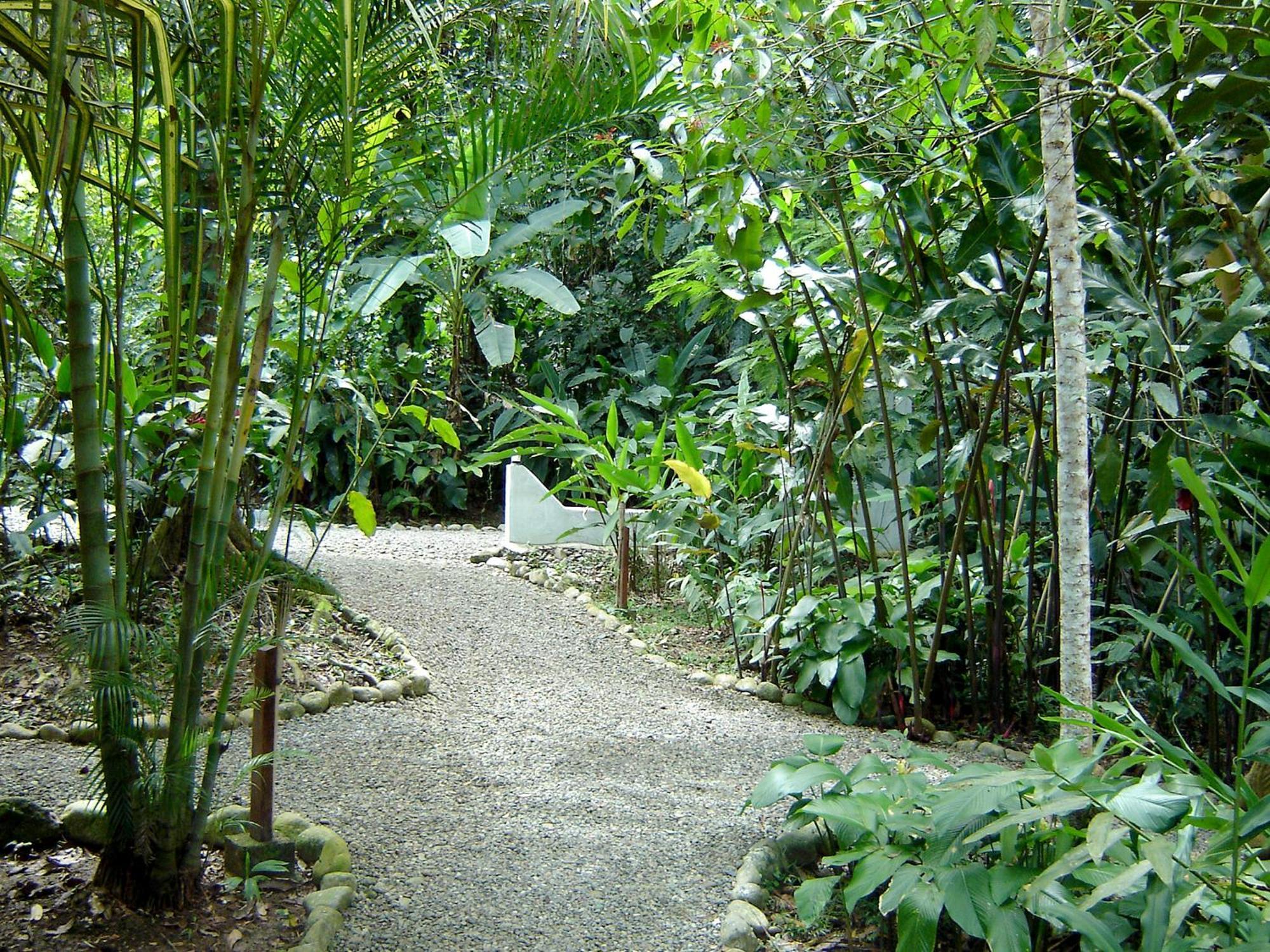 El Colibri Lodge Manzanillo  Exterior foto