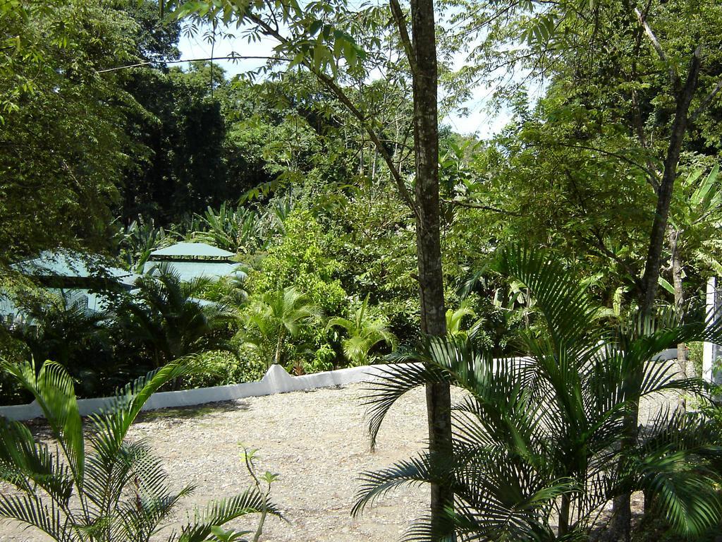 El Colibri Lodge Manzanillo  Exterior foto